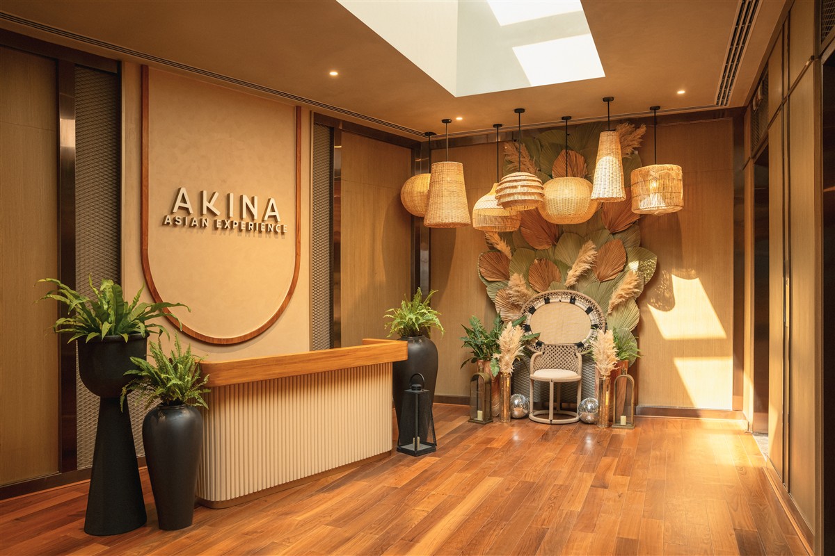 akina Image 8
