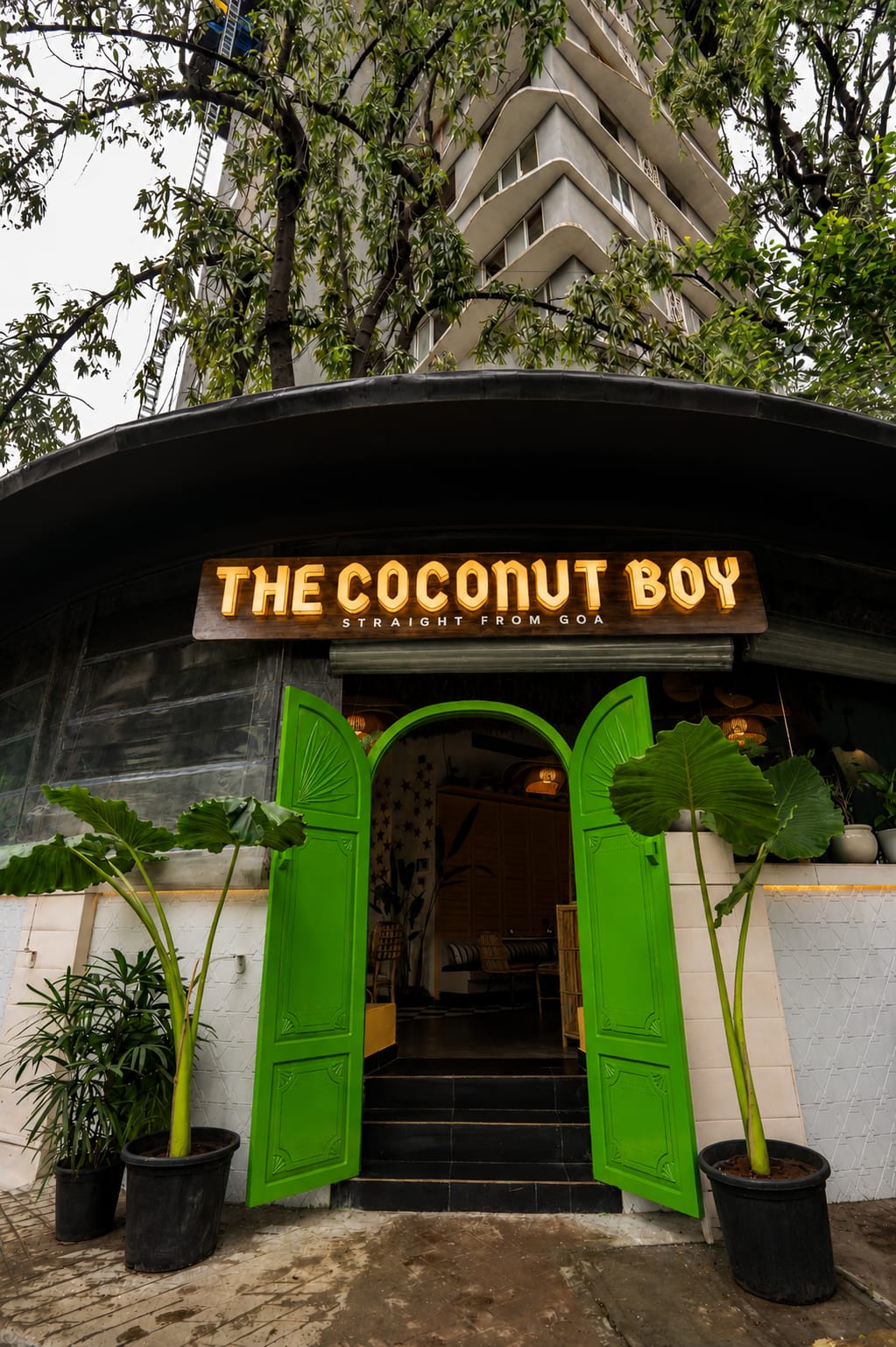the-coconut-boy Image 1