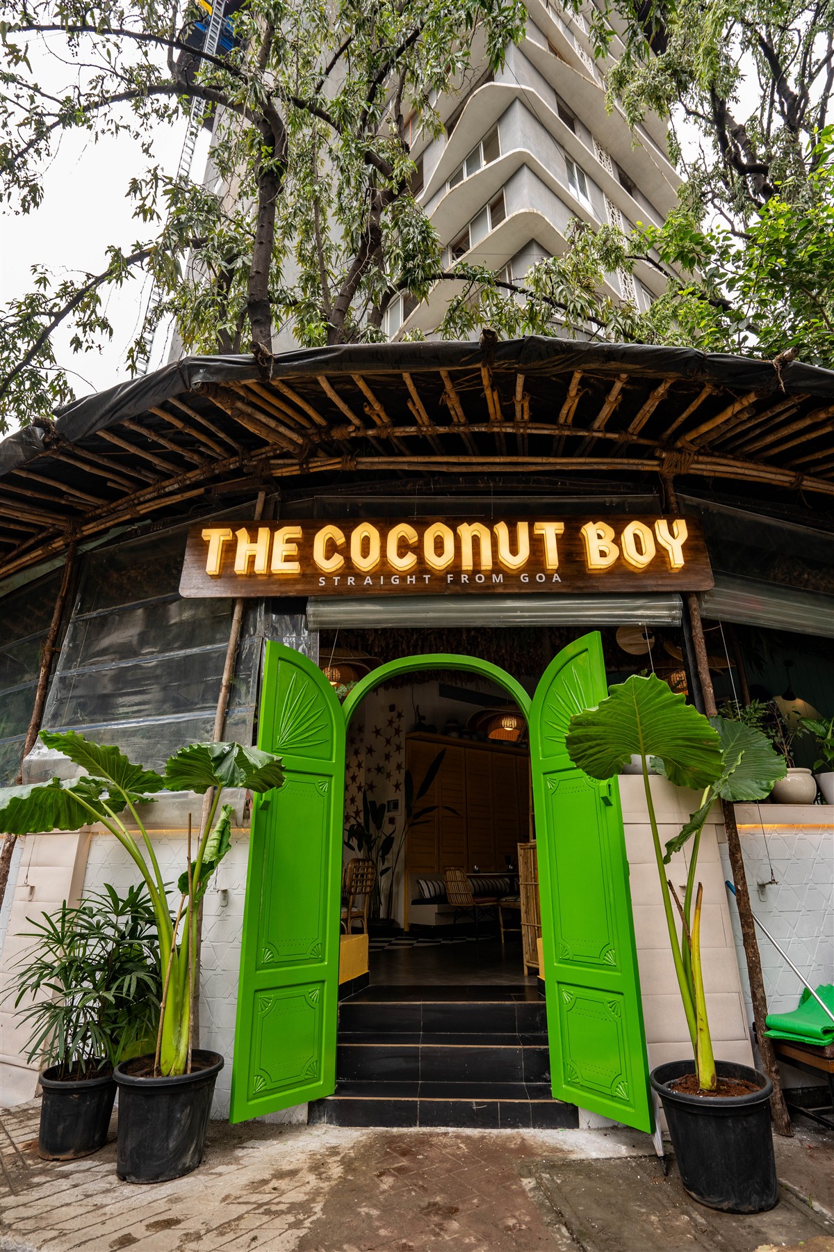 the-coconut-boy Image 1